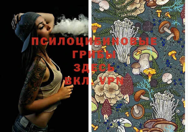 кокс Алзамай